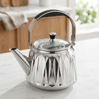 Bouilloire à eau classique de luxe en acier inoxydable 2,0 L avec couvercle en verre, compatible gaz et induction, bouilloire à thé pour le camping