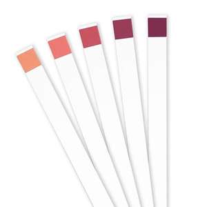 Paquete de bolsa Prueba de cetosis, rastreador de dieta de orina de cetona rápida Tiras de reactivo <span class=keywords><strong>Keto</strong></span> - Product Image 5