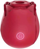 Bestseller 10-Gang Klitoris-Saugvibrator für Frauen Brustwarzen-Stimulator Silikon-Rose Sexspielzeug Weiblicher Masturbator Erotikspielzeug