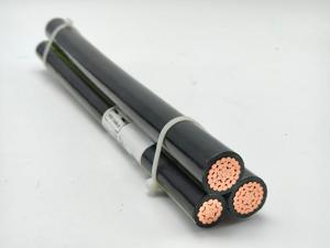 <span class=keywords><strong>Cable</strong></span> de Red Aérea XS 0.6/1kV, Cobre Recubierto Electrolítico Clase 2, XLPE, Negro, Fase <span class=keywords><strong>NEUTRO</strong></span>, Iluminación Pública Angola, EESCABLE - Product Image 2
