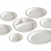 Assiettes jetables écologiques en plastique PP, logo personnalisé imprimé, sans BPA, robustes, recyclables, transparentes, pour service de traiteur et fêtes