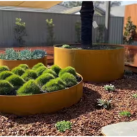 Vases modernes de luxe pour l'extérieur en forme d'anneau Jardinières rondes Plante en pot Anneau de jardinière en acier corten