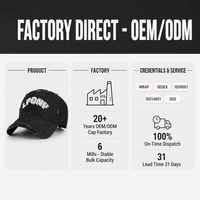 Casquette streetwear unisexe en denim délavé certifié SGS, 6 panneaux, effet vieilli, broderie 3D, logo personnalisé