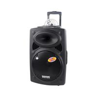 Kamu kalıp iki yönlü 100W 12V 4.5ah kaliteli 15 inç arabası hoparlör ile parti ışığı