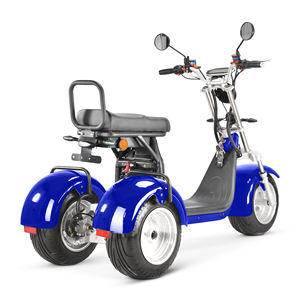 Tricycle Scooter Électrique 2026 4000W à Double Moteur, Pneus Larges, Citycoco, Batterie Amovible, Moto à 3 Roues - Product Image 4