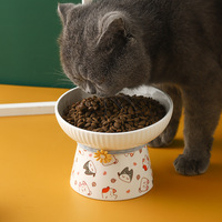 Bol pour animaux de compagnie en céramique écologique pliable au design mignon avec inclinaison surélevée pour la nourriture et l'eau - Facile à nettoyer