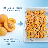Premium IQF Diepvries Abrikozenhelften |   100% natuurlijk vers ingevroren fruit voor bakkerijjam |   HACCP Halal gecertificeerd 24 maanden
