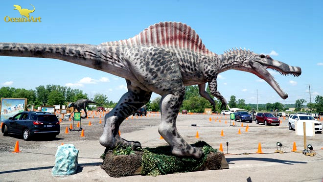 Como imagen o personalizada