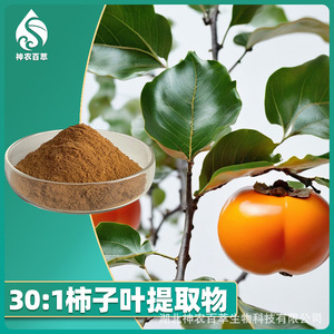 Extrait de feuille de kaki 30:1, poudre de feuille de kaki soluble dans l'eau, concentré d'extraction au ratio 10:1. En stock, commandes en gros - Product Image 2