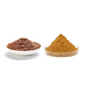 亜麻仁エキスサプリメント亜麻仁20% 亜麻仁エキス粉末工場供給 - Product Image 1