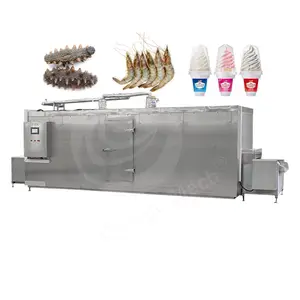 ORME现成餐经济型小型Iqf冷冻隧道面包紧凑型浆果机