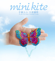Jouets interactifs pour enfants en plein air, best-sellers du commerce électronique, avion de dessin animé, papillon, insecte, petit cerf-volant