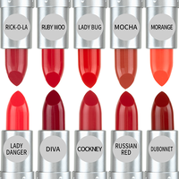 Make Up Supplier Lipstik Label Pribadi Cair Matte