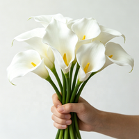 Новинка: Искусственные цветы Calla Lily из высококачественного ПУ, 68 см, красные, для украшения свадебных проходов