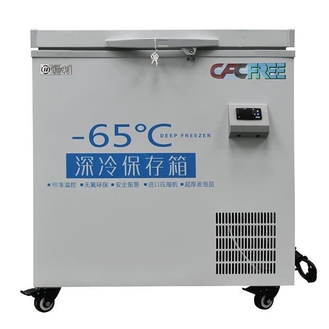 White Home Deep Freezer Freezer 150l 200l 250l 350l Horizontal Single Temperature
