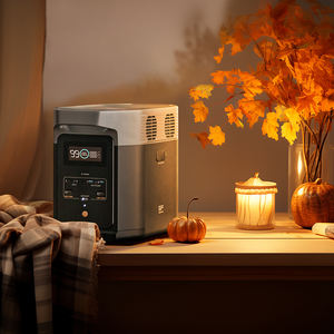 إيكوفلو دلتا 2+ مع لوحتين شمسيتين بقدرة 400 واط، بطارية ليثيوم بوليمر 1024 واط/ساعة، شحن سريع، واجهة USB، مادة بلاستيكية، قدرة إخراج 1200 واط مع قابس - Product Image 3