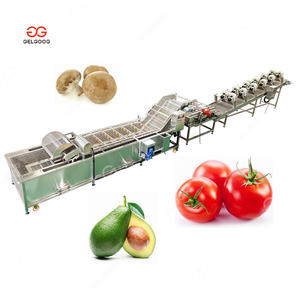 Gelgoog Rambutan Jackfruit Kiwi meyve sebze temizleme makinesi sıralama ve paketleme hattı yıkama hava kurutma ve meyveler için ağda hattı - Product Image 3