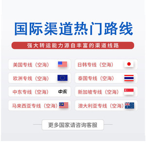 DHL, FedEx, UPS, Aramex, América del Norte, Transporte Aéreo y Marítimo, Doble Despacho de Aduanas, Impuestos Incluidos, Europa, Transporte Ferroviario y Marítimo, Oriente Medio, Especial - Product Image 4