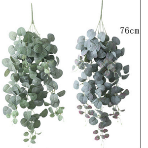 Guirnalda de Eucalipto Artificial para Colgar en la Pared con Hojas de <span class=keywords><strong>Dinero</strong></span> de la Suerte, Estilo Rústico, Decoración de Plantas Verdes para Interiores - Product Image 4
