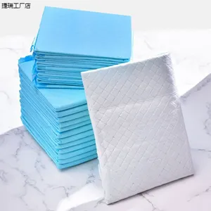 <b>Pee</b> <b>Pad</b> Puppy Training Pet Training <b>Pads</b> Dogs Cats <b>Pee</b> Absorption <b>Pad</b> - Product Image 4