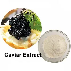 Poudre d'extrait de caviar noir de haute qualité 99% poudre d'extrait de caviar cosmétique