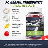 Gummies protéinés OEM/ODM pour le développement musculaire - Favorise la prise de masse maigre et le métabolisme énergétique, riches en protéines + complexe BCAA 60