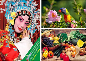 Greencolor GI-73 GI 73 43 53 recharge d'encre d'imprimante compatible encre à colorant pour <span class=keywords><strong>Canon</strong></span> <span class=keywords><strong>pixma</strong></span> G610 G510 G620 G540 G640 <span class=keywords><strong>G550</strong></span> - Product Image 3