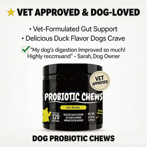 Suplemento Masticable Probiótico Orgánico Natural OEM para <span class=keywords><strong>Perros</strong></span>, Apoya la Salud Digestiva e Inmunológica, Absorción Rápida, Cuidado de la Salud de las Mascotas - Product Image 6
