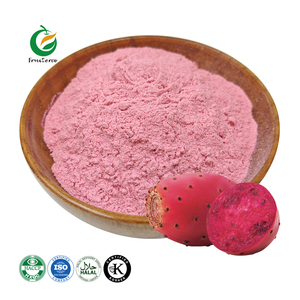 100% Chiết Xuất Từ Quả Lê Gai Tự Nhiên Bột Xương Rồng Chiết Xuất Từ Trái Cây Bột Nước Ép <span class=keywords><strong>Prickly</strong></span> <span class=keywords><strong>Pear</strong></span> Bột - Product Image 1