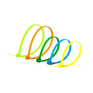 Assorted Colorful Cable Tie Selflocking nylon 66 cable ties /zip ties/tie wraps Plastic Cable tie
