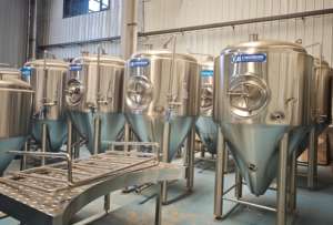 Anytime 1000L 2000L 4000L envanter fermantasyon tankları her zaman gemi - Product Image 3