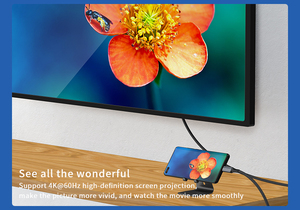 Nhà Máy OEM Nguồn Ưu Đãi Giá Mới Hợp Kim Nhôm Bện Usb 3.1 Bộ Chuyển Đổi Type-C 4K 60Hz Gen2 Usb C Sang Cáp Usb C - Product Image 3