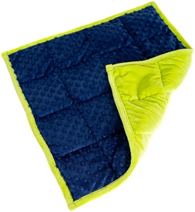 Coperta ponderata sensoriale Lap Pad ponderato per bambini autismo 2lbs/3lbs/5lbs - Product Image 1