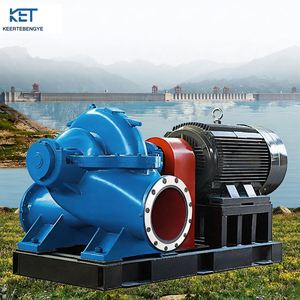 Pompe centrifuge à double aspiration SH économique et efficace, adaptée aux applications à haut débit dans les projets de conservation de l'eau. - Product Image 1