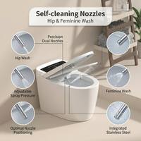 Toilette intelligente à double chasse haute performance, bidet intelligent conforme à la certification CE, personnalisation ODM et OEM pour projets mondiaux