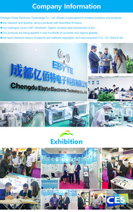 Antenne verticale à gain élevé Ebyte TX2400-JZ-5 2.5dBi 2.4GHz - Product Image 5