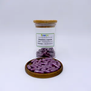 Kapsul ekstrak Elderberry organik imun sehat suplemen Herbal kapsul ekstrak Elderberry hitam