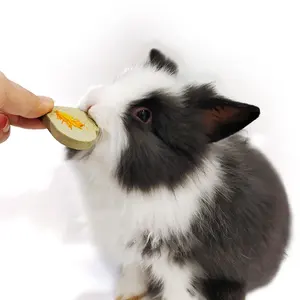 Highest food Rabbit Chew Toys Hamster chinchilla Molar Snacks guinea pig treat grass cake timothy hay for snack rabbit rodent