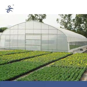 Invernadero Comercial de Polietileno de Bajo Costo y Alta Calidad en Venta - Product Image 3