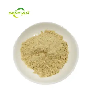 Kualitas Terbaik Lycopodium spore powder 100% natural Lycopodium bijih bubuk