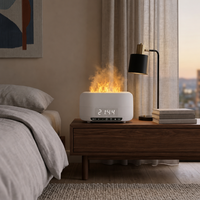Diffuseur d'huiles essentielles avec lumière de flamme, diffuseur d'arômes avec réservoir de 400 ml, haut-parleur Bluetooth, minuterie à 4 niveaux, pour la maison, OEM ODM