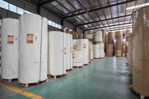 Customizable Recyclable Biodegradable PLA Coated <b>Paper</b> Cup Bottom Jumbo <b>Roll</b> for <b>Paper</b> Cup Production - Product Image 6