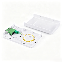 Boîtier de terminaison fibre optique mural intérieur 2 cœurs FTTH Mini NAP avec adaptateur SC Duplex pour réseau FTTR