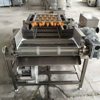 Automatische belletjeswasmachine voor groenten, fruit, vis, voedselverwerking en reinigingsapparatuur