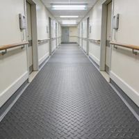 Garage PVC-Münzmuster-Bodenbelag Rolle Hochbelastbar Rutschfeste Gummi-Münzoberfläche für Anhänger Van Schuppen Hütte Universell