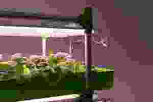 Advanced Hydroponics Aquaponics <b>Greenhouse</b> Farming Kit Durable <b>Plant</b> Pots Indoor Outdoor Home Planting Sustainable Large - Product Image 6