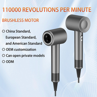 Sèche-cheveux professionnel OEM 110000 tr/min avec moteur DC, diffuseur ionique, buse, conception portable haute vitesse, 3 réglages de vitesse