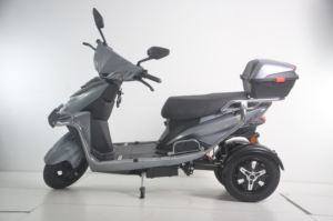 Scooter électrique argenté nouvelle <span class=keywords><strong>moto</strong></span> électrique <span class=keywords><strong>à</strong></span> <span class=keywords><strong>3</strong></span> <span class=keywords><strong>roues</strong></span> pour adultes tricycles <span class=keywords><strong>à</strong></span> la mode <span class=keywords><strong>moto</strong></span> électrique <span class=keywords><strong>à</strong></span> trois <span class=keywords><strong>roues</strong></span> - Product Image 3