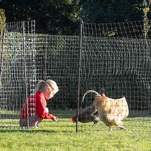 Redes de valla de pollo de aves de corral, tratamiento UV, extruido