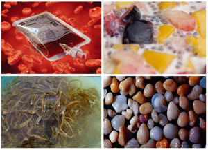 Pompe à aubes plates BOBP avec conception <span class=keywords><strong>de</strong></span> joint à lèvre brevetée, tolérante au fonctionnement à sec, à faible coût - Product Image 6